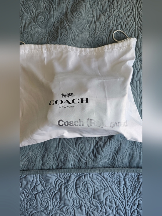 Coach Cassie 19 Pebble Leather Silver-tone Chain Shoulder Top Handle Crossbody - Picture 16 of 16